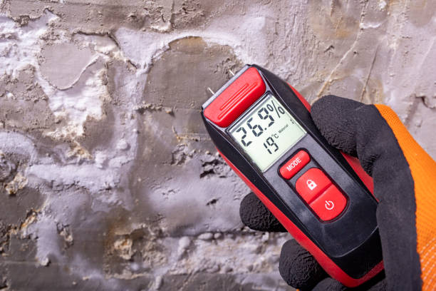 Best Home Mold Removal  in Wilder, VT