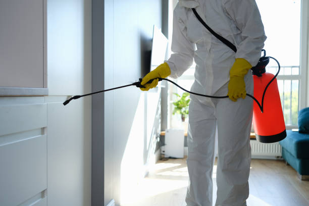 Best Professional Mold Removal  in Wilder, VT