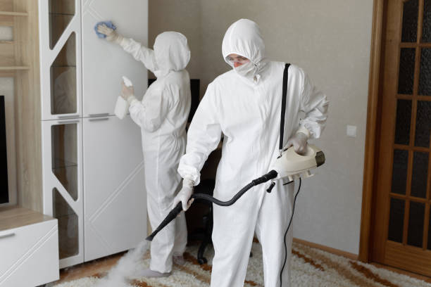 Water Damage Restoration in Wilder, VT